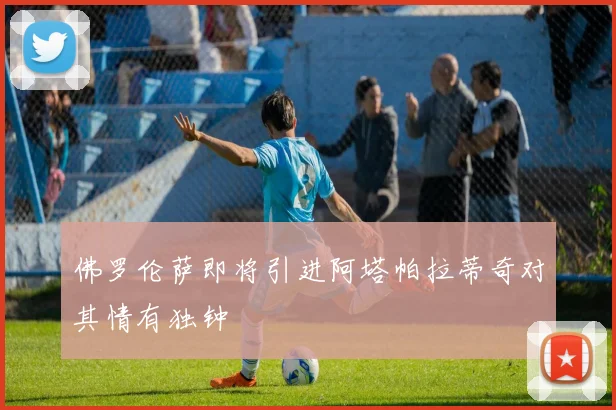 佛罗伦萨即将引进阿塔帕拉蒂奇对其情有独钟